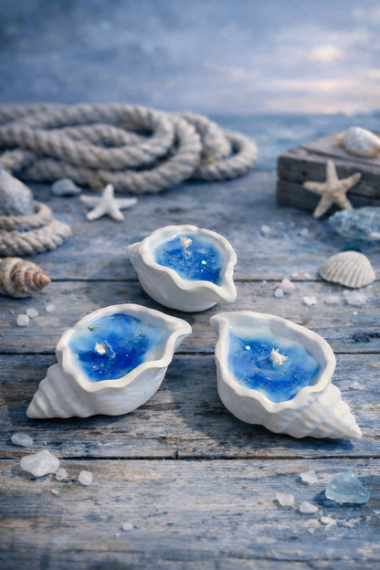 Sky Harmony | Handcrafted Shell Candles